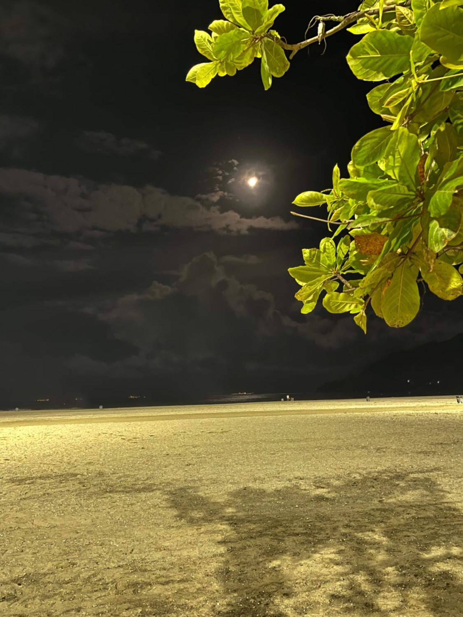 Beira Mar Com Excelente Localizacao Balneario Camboriu